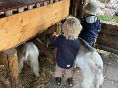 Fælles opmærksomhed